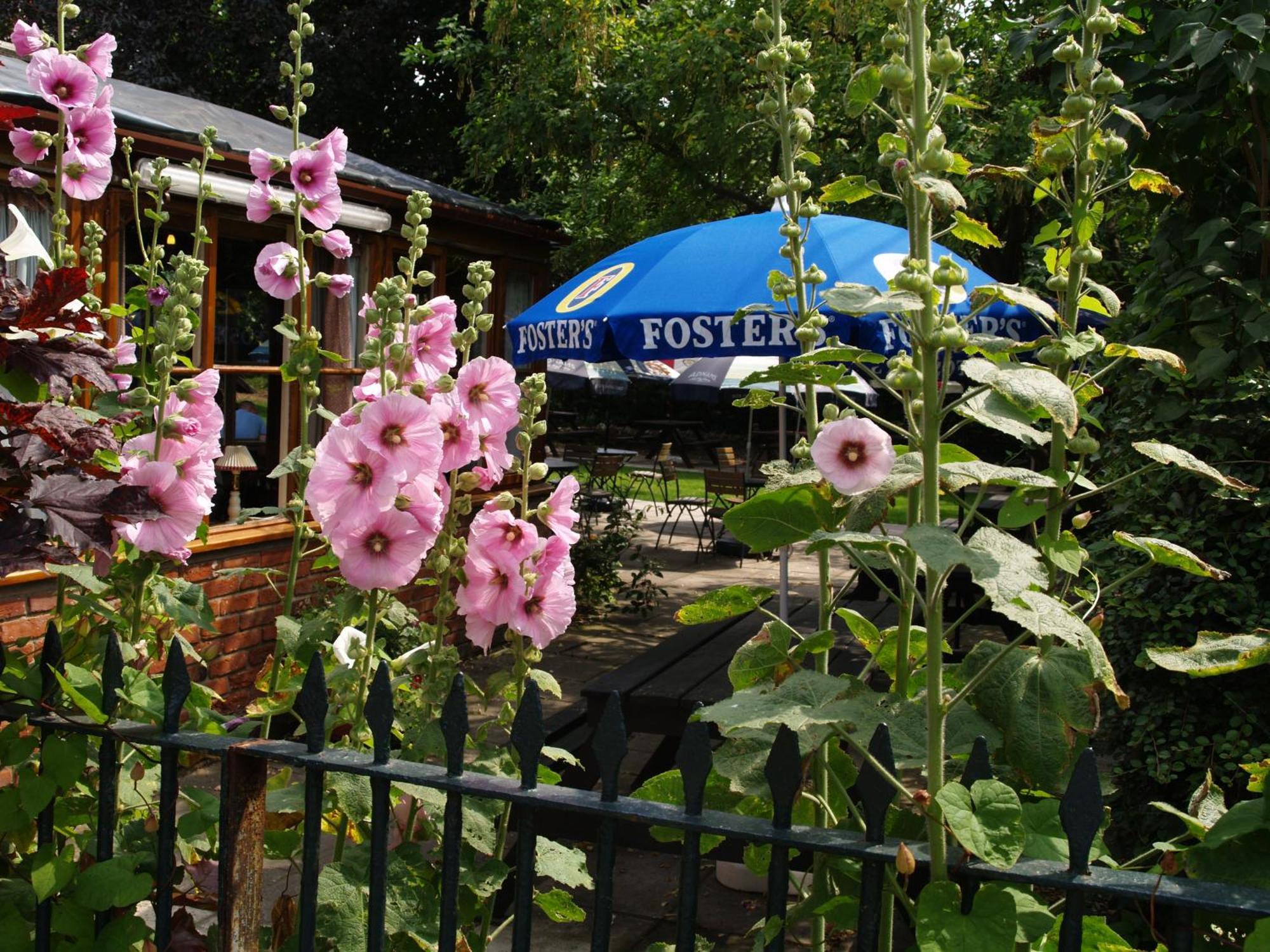 The Olde Windmill Inn Great Cressingham Экстерьер фото